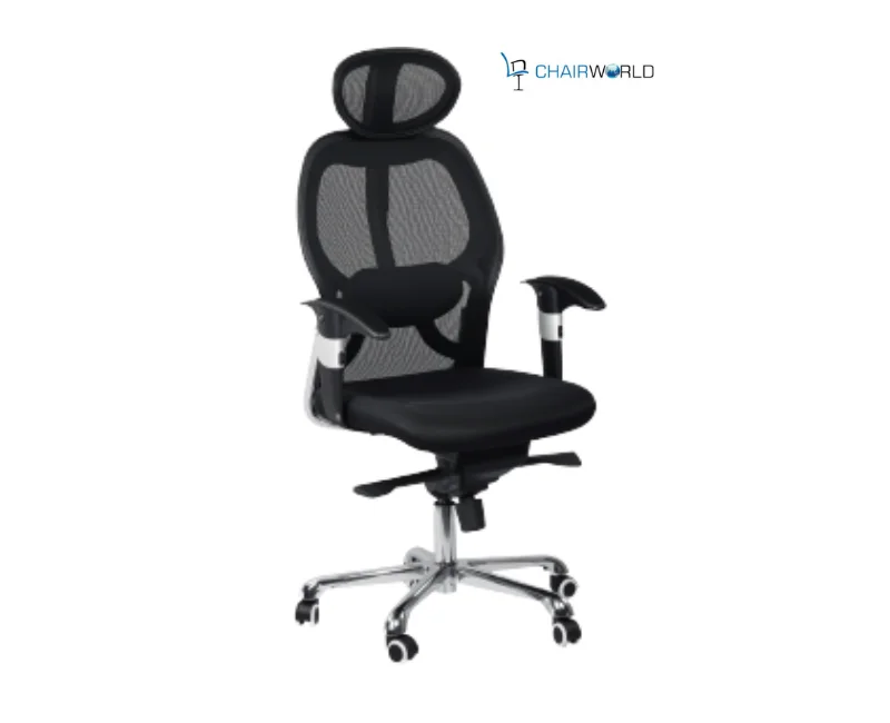 Designer Mesh Chair