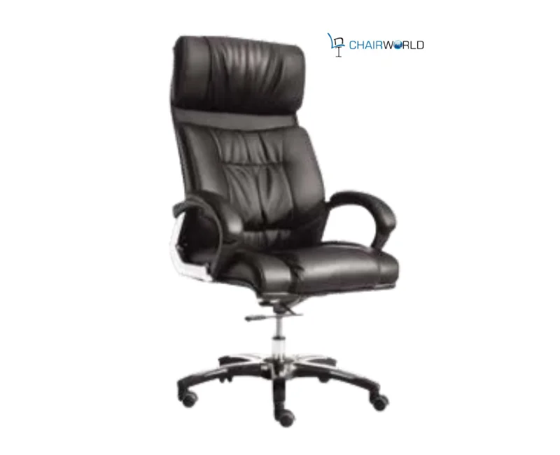 Low Back Director Chair