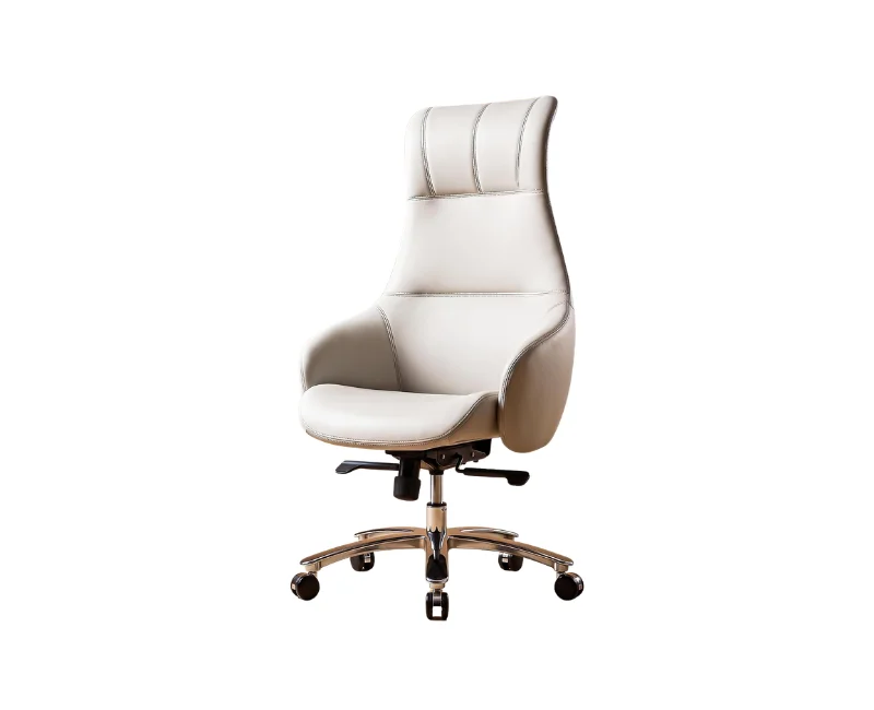 Ergonomic Office Chair for Work & Home